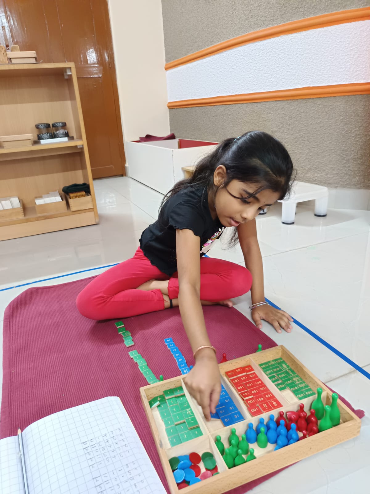 Montessori Activity